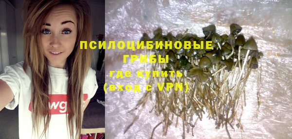 тгк Протвино